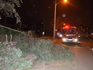 Çorlu’da kuvvetli fırtına: Ağaçlar devrildi, çatılar uçtu, direkler devrildi