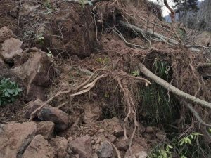 Trabzon’un Araklı ilçesinde heyelan