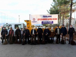 Denizli’de 5 yılda 380 bin ceviz fidanı toprakla buluştu