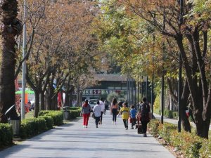 Aralık ayı, son 51 yılın en sıcak 10’uncu Aralık ayı oldu