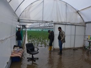 Ortaca’da seralar ve narenciye bahçeleri su altında kaldı