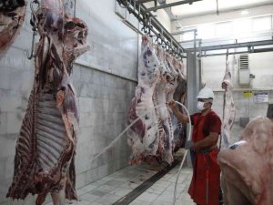 2021’de Büyükşehir mezbahalarında 5 Milyon 671 Bin kg. et üretildi