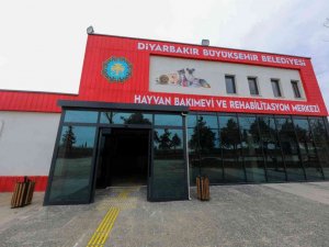 Diyarbakır’da ‘Can Dostlarımızın’ 5 yıldızlı yuvası açılıyor