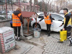 Kastamonu’da sokak hayvanları unutulmadı