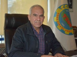 Söke Ziraat Odası; “Yağışlarla umudumuz yeniden yeşerdi”