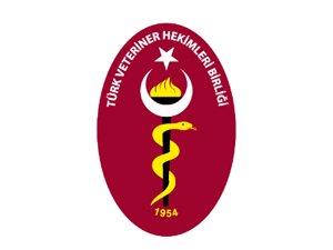 TVHB’den İstanbul’da yabancı uyruklu bir şahsın sokak köpeğini aracıyla ezmesine ilişkin açıklama