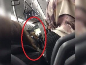 Belediye otobüsünde maskesiz kadın terörü