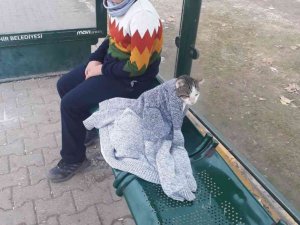 Soğukta üşüyen kediyi hırkasıyla ısıtmaya çalıştı