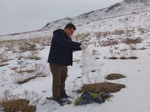 Ağrı Dağı eteklerine yaban hayvanları için yem bırakıldı