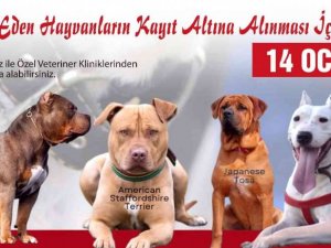 Tehlikeli köpek ırkları için son kayıt tarihi 14 Ocak