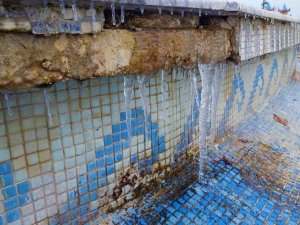 Tekirdağ’da hayat dondu