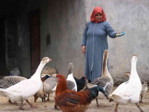 Diyarbakır’da kırsal mahallenin ‘tek kadın muhtarı’ koltuğu eşinden aldı