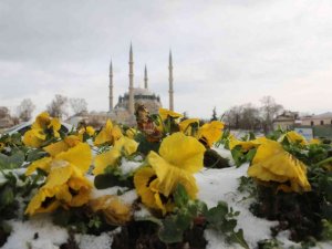 Edirne’de nehirler, yollar ve süs havuzları buz tuttu