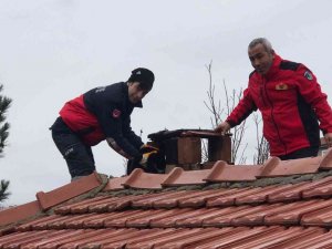 Bacaya sıkışan kediyi itfaiye kurtardı