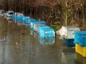 Ortaca’da arı kovanları sular altında kaldı