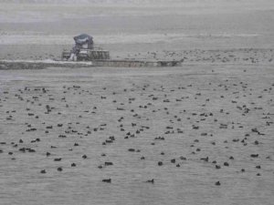 Beyşehir Gölü’nde kar yağışı hayatı olumsuz etkiliyor