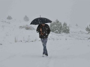 Mersinli çiftçilerin "kar" sevinci