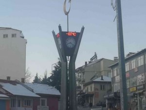 Çameli buz kesti