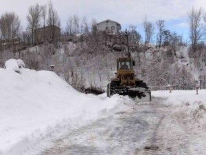 Muş’ta kar yağışı nedeniyle 109 köy yolu ulaşıma kapandı