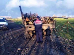 Kaçak orman emvaline jandarmadan geçit yok