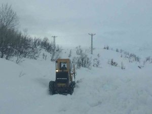 Tunceli’de karla mücadele çalışmaları sürüyor