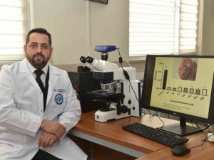 KMÜ’lü öğretim üyesinden Covid-19’a karşı meyan kökü formülü