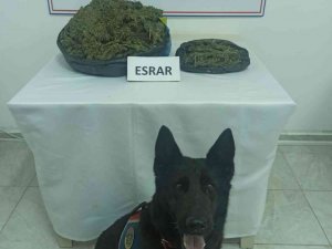 Gazipaşa’da uyuşturucu tacirine operasyon