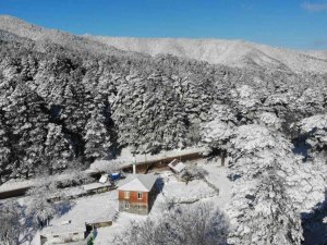 Kazdağları adeta gelinlik giydi