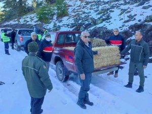 Osmaniye’de yaban hayvanlarına yem desteği