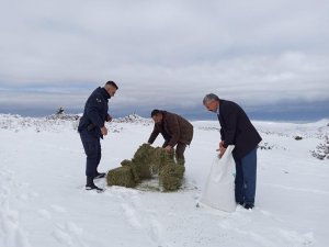 Yaban hayvanları için doğaya yem bırakıldı