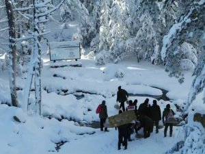 Kazdağları’nda yaban hayvanları için doğaya yem bırakıldı