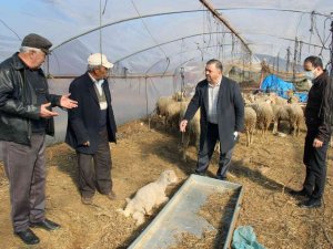 Menteşe Ziraat Odası’ndan afet mağdurlarına yardım