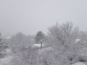Aydın yaylaları beyaza büründü