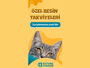 Kediler ve Köpeklerin Dünyasında Royal Canın Mamalarını Tercih Edin