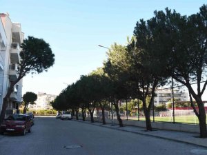 Davutlar Mahallesi’nde alt ve üst yapı çalışmaları devam ediyor