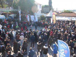 Bodrum’da 2,5 ton hamsi dağıtıldı, metrelerce kuyruk oluştu