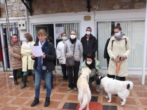 Bodrum’da hayvanseverler şiddet olaylarına dikkati çekti