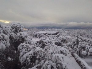 Bodrum da beyaza büründü