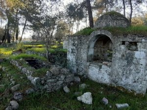 Aydınlı doğaseverlerden, tarihi mezarları koruma çağrısı