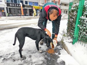 Menteşe’de can dostlar unutulmadı