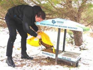Başkan Tosun’dan can dostlara şefkat eli