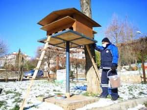 Büyükşehir, sokak hayvanlarını unutmadı