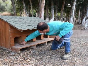 Kuşadası Belediyesi soğuk havada can dostlarını unutmadı