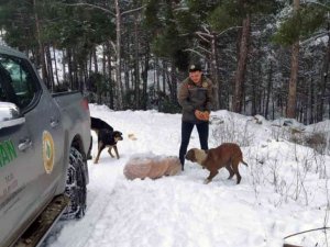 Ormancılar yaban hayatında yaşayan canlıları unutmadı
