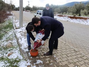 Kaymakam Alpay sokak canlarını unutmadı