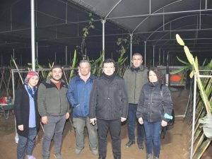 Sera nöbeti tutan üreticileri Kaymakam Şahin yalnız bırakmadı