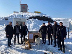 Gençler can dostlarımızı yalnız bırakmadı