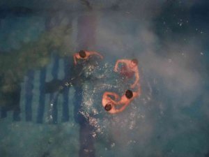 Eksi 6 derece soğuk havada termal havuzun keyfini çıkardılar