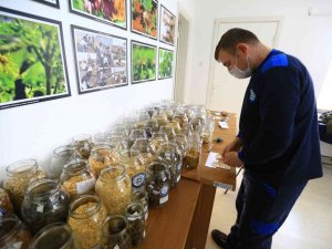 Türkiye’nin 80 iline yerel tohum dağıtımı 1 Şubat’ta başlıyor