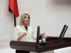 AK Partili Gökcan, çimento fabrikasına ruhsat verilmesini eleştirdi